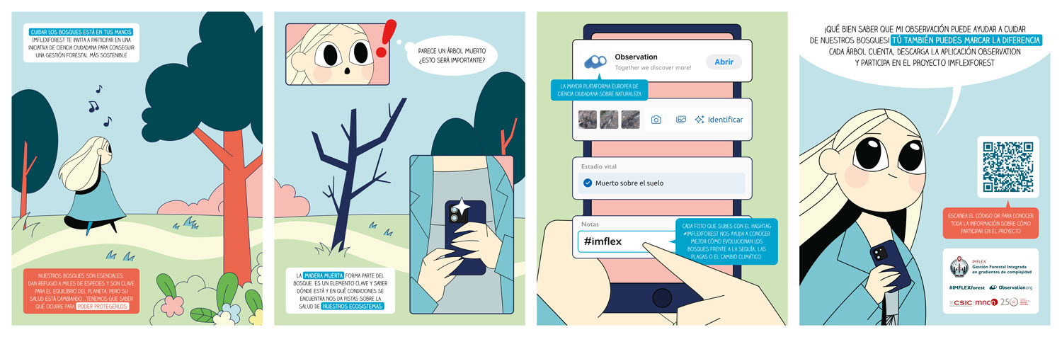 Te explicamos paso a paso como participar en el proyecto de investigación / Es un cómic elaborado por Raquel Morales basado en El museo de las maravillas elaborado por Biomics para elMuseo Nacional de Ciencias naturales (MNCN-CSIC).