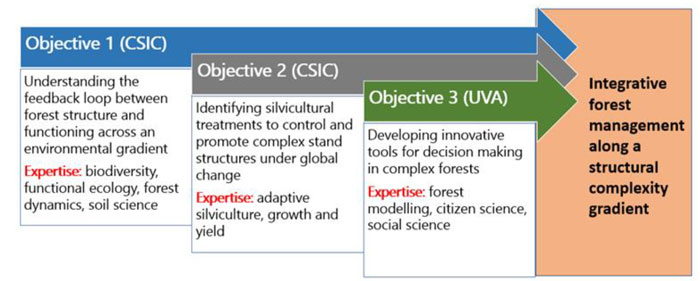 Recuadro objetivos IMFLEX